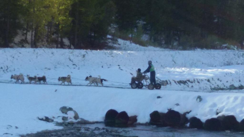 Baita Del Plan Pragelato Buitenkant foto